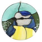 Jose Heasman - blue tit