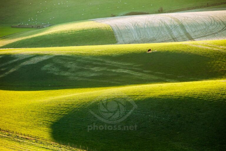 Winter on the South Downs