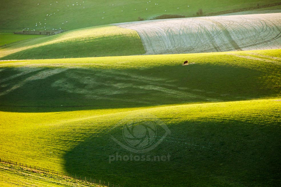 Winter on the South Downs