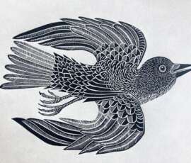 Crow in flight by Georgia Flowers