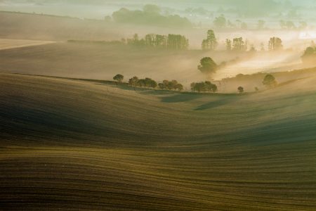 Autumn on the South Downs