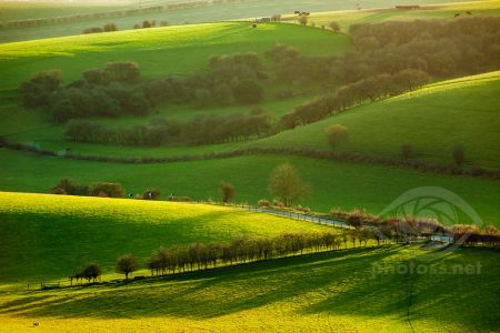Christmas on the South Downs
